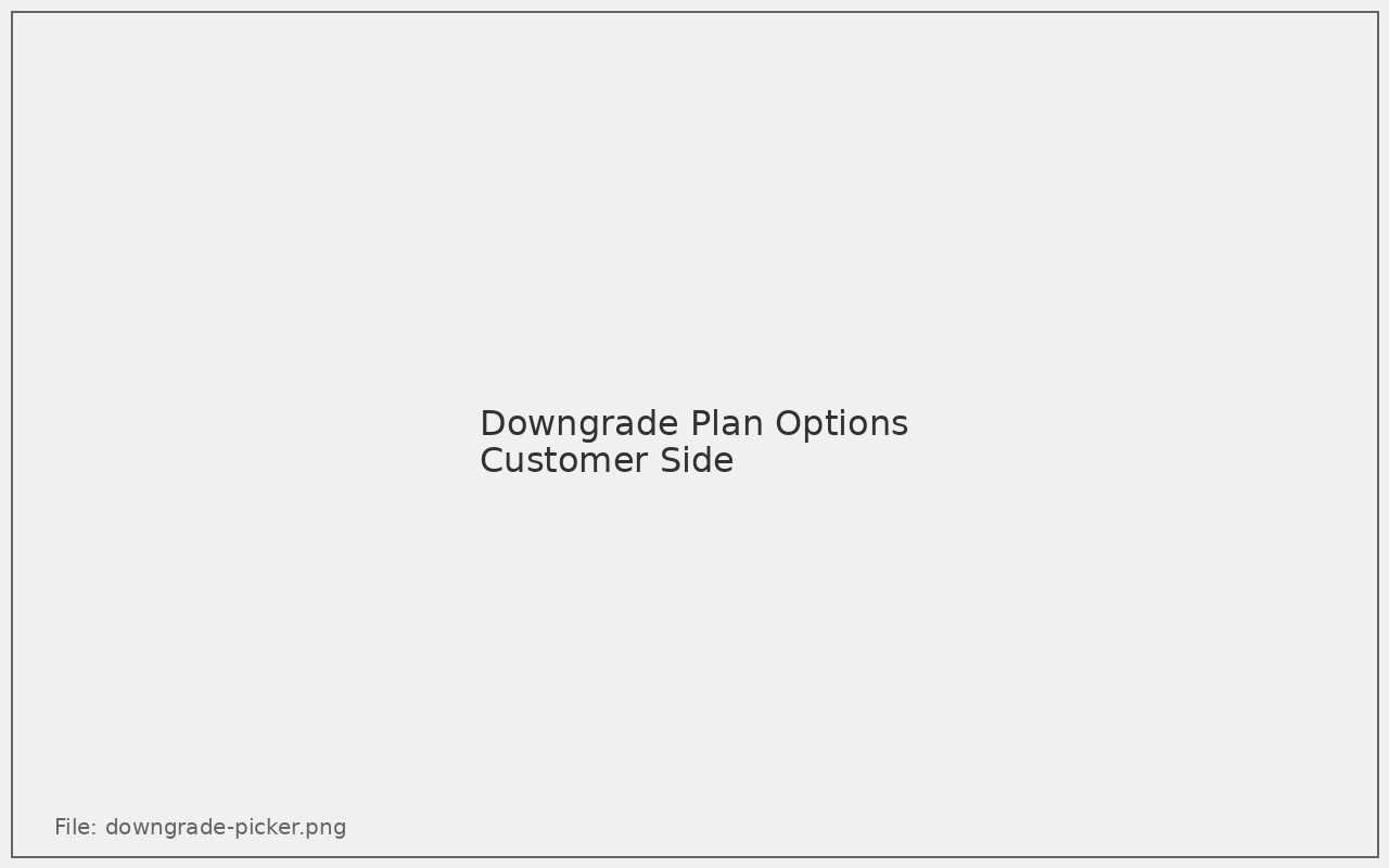 Downgrade plan options page on the customer side